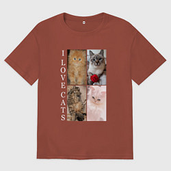 Футболка оверсайз мужская I LOVE CATS Я ЛЮБЛЮ КОШЕК, цвет: кирпичный
