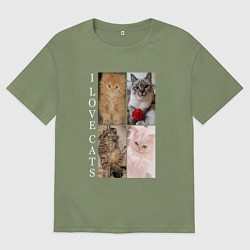 Футболка оверсайз мужская I LOVE CATS Я ЛЮБЛЮ КОШЕК, цвет: авокадо