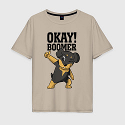 Мужская футболка оверсайз Okay boomer!