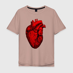 Мужская футболка оверсайз Сердце анатомическое