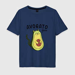 Мужская футболка оверсайз Avogato кот