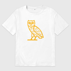 Мужская футболка оверсайз Drake сова