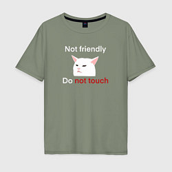 Мужская футболка оверсайз Not friendly, do not touch, текст с мемным котом