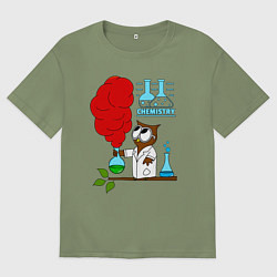 Мужская футболка оверсайз Сова химик