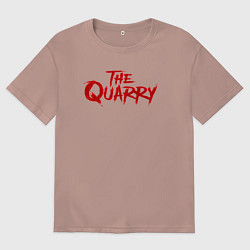 Мужская футболка оверсайз The Quarry logo