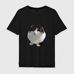 Мужская футболка оверсайз Wawa cat Oh The Misery Cat