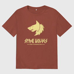 Мужская футболка оверсайз Космические волки лого винтаж