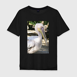 Мужская футболка оверсайз Пеликан в природе