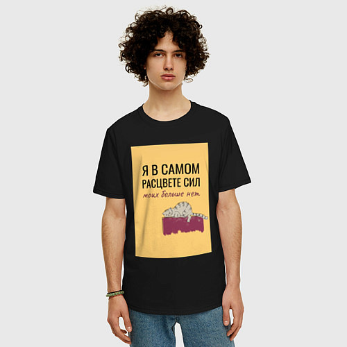 Мужская футболка оверсайз Уставший кот в полном расцвете сил / Черный – фото 3