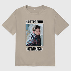 Мужская футболка оверсайз Настроение Стайлз Стилински
