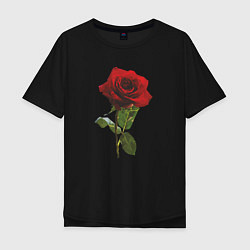 Мужская футболка оверсайз Красивая красная роза
