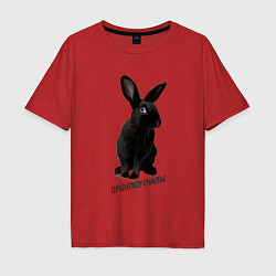 Мужская футболка оверсайз Приношу счастье, черный кролик, символ 2023 года