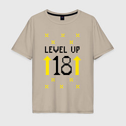 Мужская футболка оверсайз Level up 18 со стрелочками