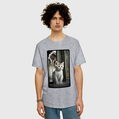 Мужская футболка оверсайз Грозный котик / Меланж – фото 3