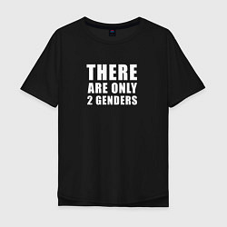 Мужская футболка оверсайз There are only 2 genders