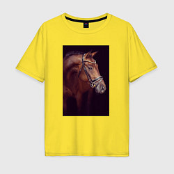 Мужская футболка оверсайз Лошадь во всей красе