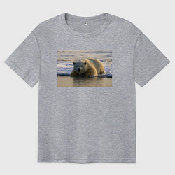 Футболка оверсайз мужская Медведь на севере, цвет: меланж