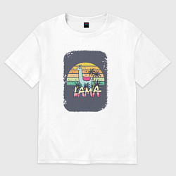 Футболка оверсайз мужская Colorful Llama, цвет: белый