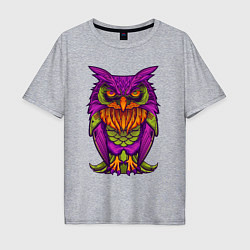 Футболка оверсайз мужская Purple owl, цвет: меланж