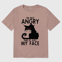 Мужская футболка оверсайз I am not angry cat