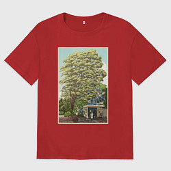 Мужская футболка оверсайз Хаяо Миядзаки - studio ghibli