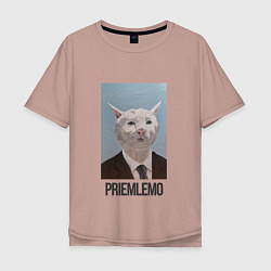 Мужская футболка оверсайз Приемлемо - кот мем в живописи