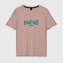 Футболка оверсайз мужская Stray Kids legendary, цвет: пыльно-розовый
