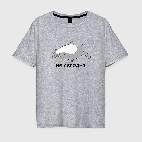 Мужская футболка оверсайз Не сегодня кот / Меланж – фото 1