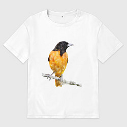 Мужская футболка оверсайз Иволга