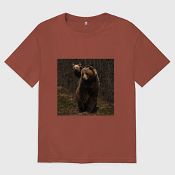 Футболка оверсайз мужская Медведи гуляют по лесу, цвет: кирпичный
