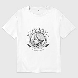 Мужская футболка оверсайз Road is calling