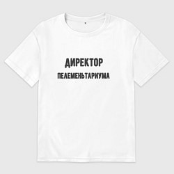 Футболка оверсайз мужская Директор пелеменьтариума, цвет: белый