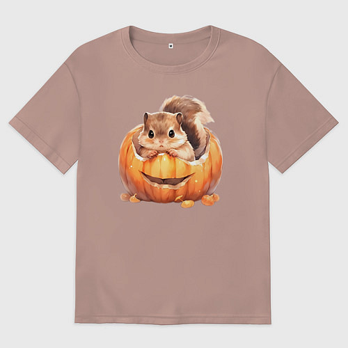 Мужская футболка оверсайз Белка в тыкве / Пыльно-розовый – фото 1