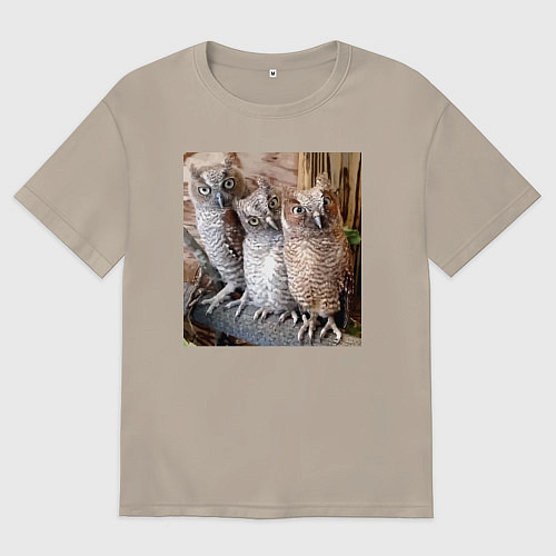 Мужская футболка оверсайз Три совы - мем / Миндальный – фото 1