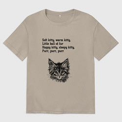 Мужская футболка оверсайз Колыбельная котёнка