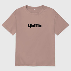 Мужская футболка оверсайз Цыть