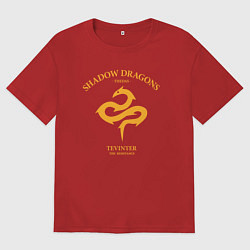 Мужская футболка оверсайз Shadow Dragons - Dragon Age
