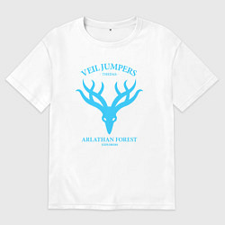 Мужская футболка оверсайз Veil Jumpers - Dragon Age