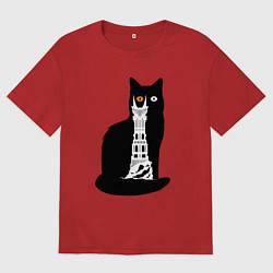 Мужская футболка оверсайз Око Котоурона