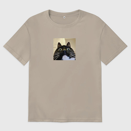 Мужская футболка оверсайз Видеозвонок с котом парный мем / Миндальный – фото 1
