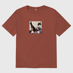 Футболка оверсайз мужская Видеозвонок с кошкой - мем для пары, цвет: кирпичный