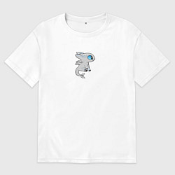 Футболка оверсайз мужская Дневная фурия парный дракон, цвет: белый