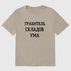 Мужская футболка оверсайз Грабитель складов ума