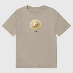 Мужская футболка оверсайз Стас Пельмень