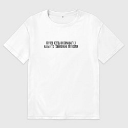 Мужская футболка оверсайз Место совершения глупости