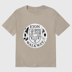 Футболка оверсайз мужская Путешествия Итон, цвет: миндальный