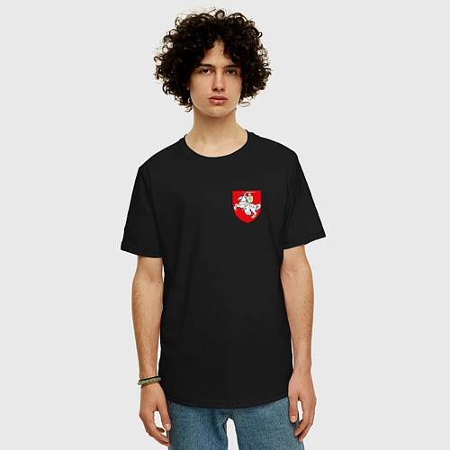 Мужская футболка оверсайз Погоня: герб / Черный – фото 3