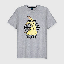 Футболка slim-fit The Rabbit Momiji, цвет: меланж