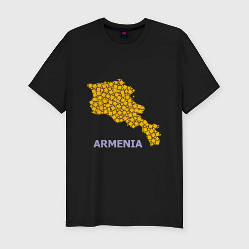 Мужская slim-футболка Golden Armenia / Черный – фото 1