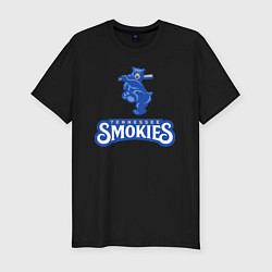 Мужская slim-футболка Tennessee smokies - baseball team